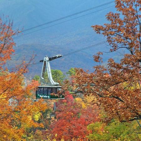 Cajun Hideaway Holiday Home Gatlinburg Eksteriør bilde